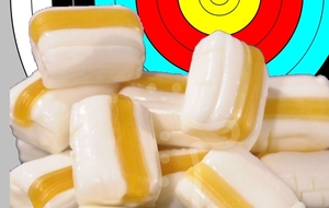 10.03.2014 - Le webmestre inaugure le bêtisier...