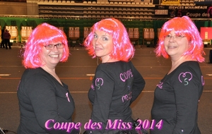 15.03.2014 - Coupe des Miss 2014