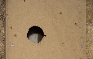 07.09.2014 - Rénovation de la ciblerie