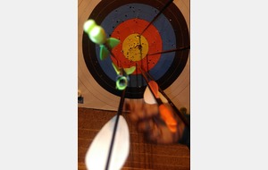 10.04.2016 - Un « Robin » à 20 mètres