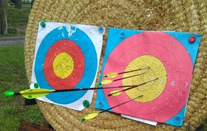 23.04.2016 - Un « Robin » à 50 mètres