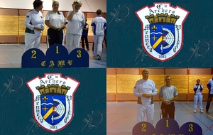 06.11.2016 - Mennecy : Trois plus hautes marches