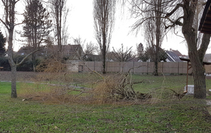 04.01.2018 - La visite d'Eleanor