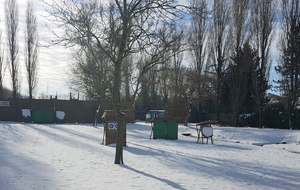 10.02.2018 - Sous les flocons