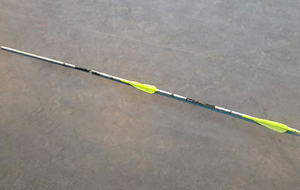 09.12.2018 - Un robin de plus