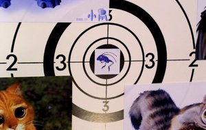 Zoom sur la carte des jeunes archers