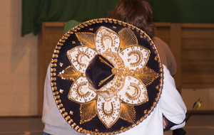 Collection de coiffures...