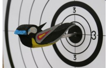 11.04.2010 - Tir du Roy ou Tir à l'Oiseau