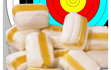 10.03.2014 - Le webmestre inaugure le bêtisier...