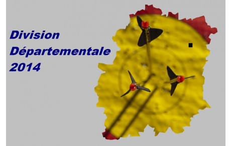 24.06.2014 - Division Départementale 2014