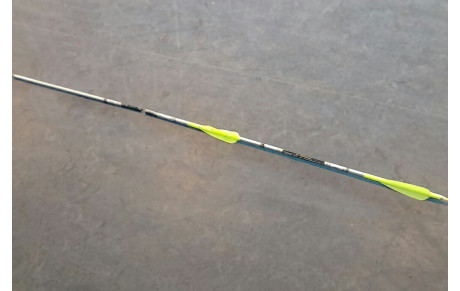 09.12.2018 - Un robin de plus