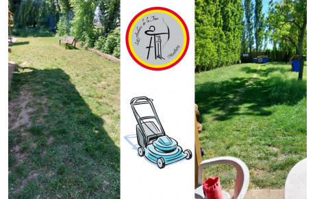 16.05.2025 - Coupe de printemps...